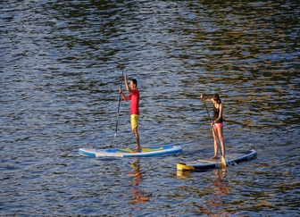 Paddle surf / SUP