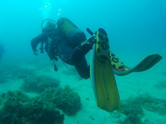 H2O Diving Center #0