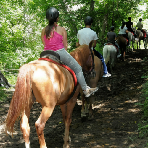 Deportes De Aventura Sort #3